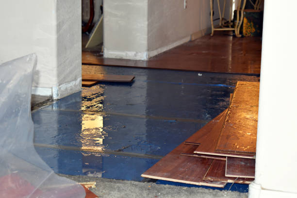 Professional Sewage Cleanup technician working in Freeman, SD