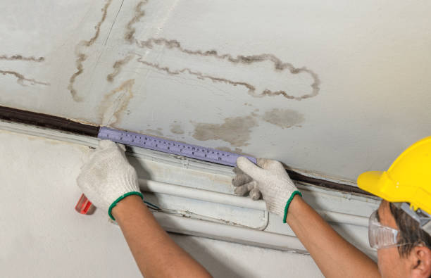 Reliable Sewage Cleanup contractor in Freeman, SD by Water Damage Irwin